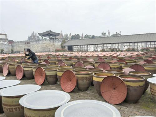 四川农业大学寒假社会实践小队探访战旗村