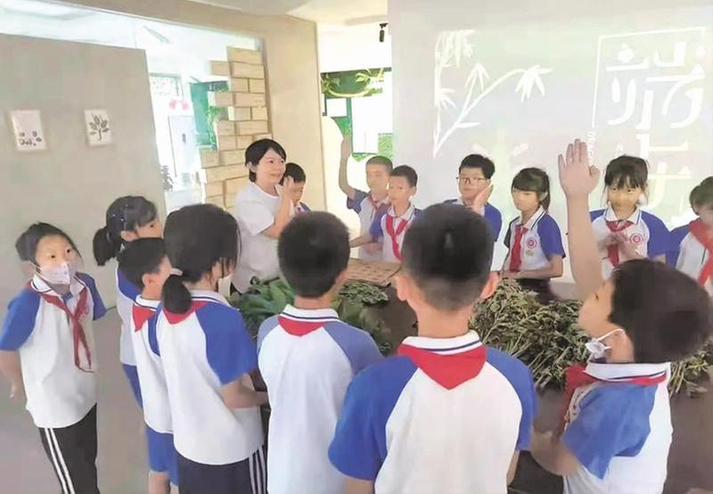 庞建梅：种出道地药材，开出“振兴良方”