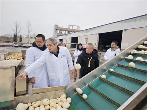 新春走企业 科技助生产