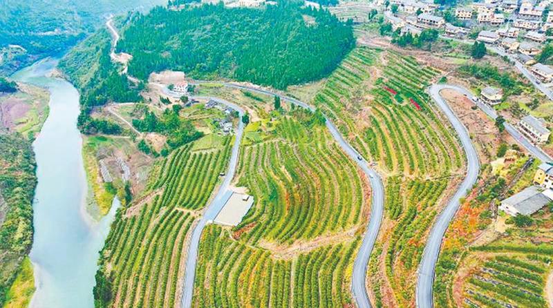 叙永县的富民兴村“黄金通道”