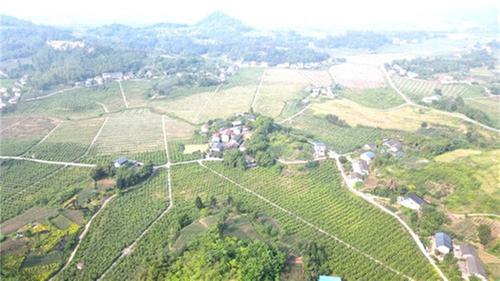 石垭镇：“乡贤群”让干群更近，为发展赋能