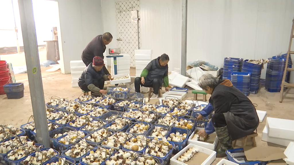 岳池县：优化创业环境 助力乡村振兴