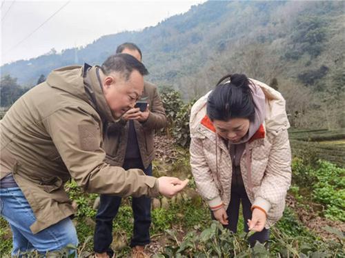 深化合作育产业 凝心聚力促发展