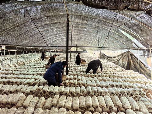 简阳：以活镇“小精彩”助推强县“大发展”