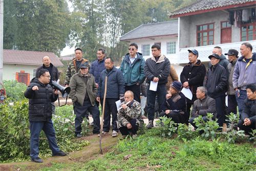 内江市东兴区：科技助力当地道地中药材产业