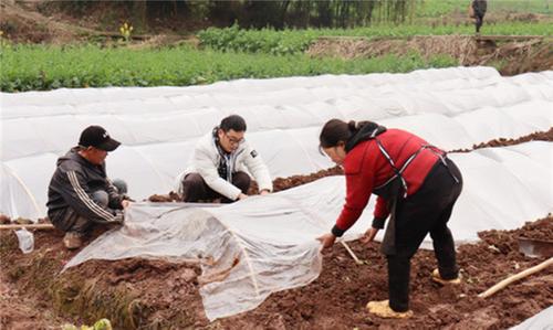 农资科技送到田间，内江市市中区春耕备耕有保障