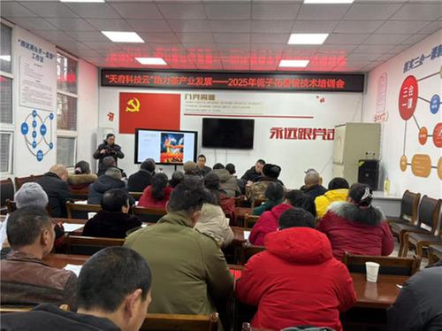 “天府科技云”助力茶产业高质量发展