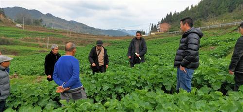 邻水县：春耕备耕正当时 农技指导培训忙