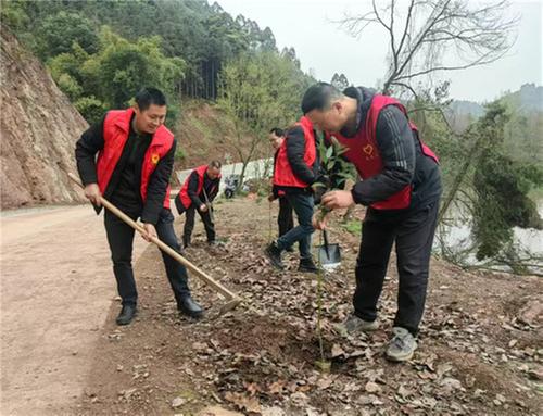 洪雅：积极开展春季全民义务植树活动