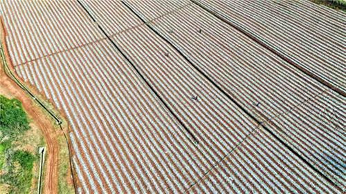 再创佳绩 仁寿县粮油产量迈上新台阶