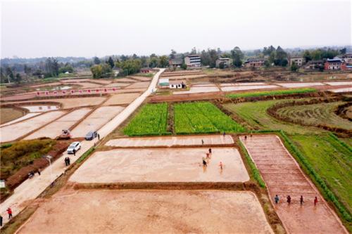 广安：机械化育秧 助力春耕生产