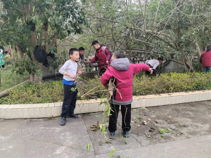 赤溪九义校开展植树节活动
