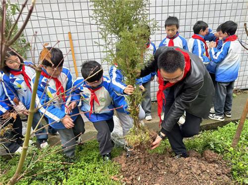 南江县红光镇小学植树节科普植树知识