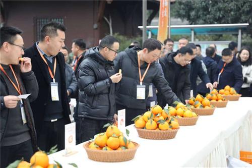 品“橙”都雅韵 赏“橙”之佳味