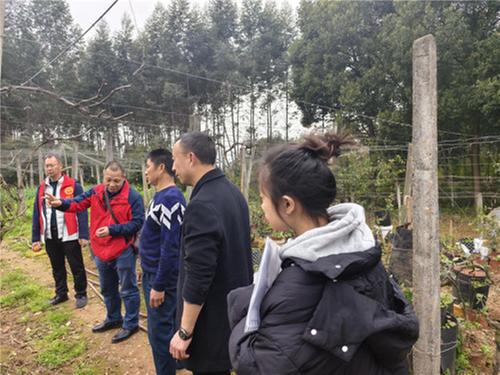 科技巡诊：精准对接需求，破解发展难题