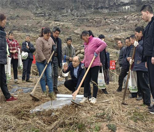 科协搭台送科技 乡村振兴添活力