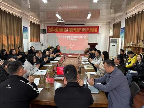 菜黄蜂舞化春风 科技小院谋共赢