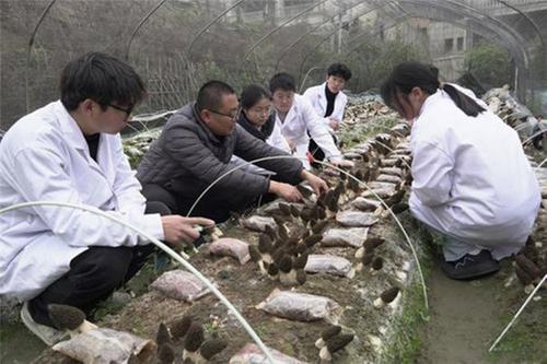 眉山职业技术学院：以科技助力乡村振兴