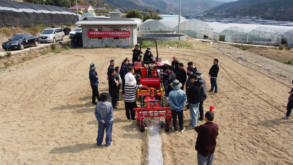 四川丘陵山区马铃薯播种难题获突破