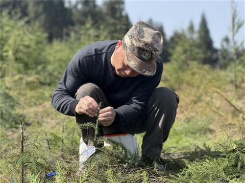 历时6年 四川首个柳杉初级无性系种子园在洪雅建成