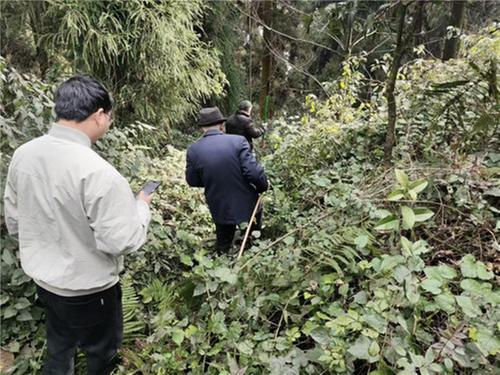 文物“线人”跨界守护