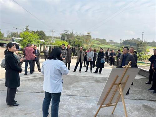 内江市科协联合老科协开展农村面貌改善调研活动