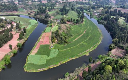 内江市东兴区：撂荒地上绘“丰”景