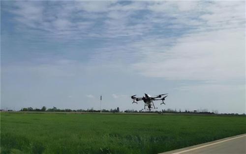 丹棱：科技绘就春耕新图景 农业跑出“加速度”