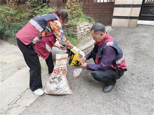 大竹县疾控中心积极开展病媒生物密度监测