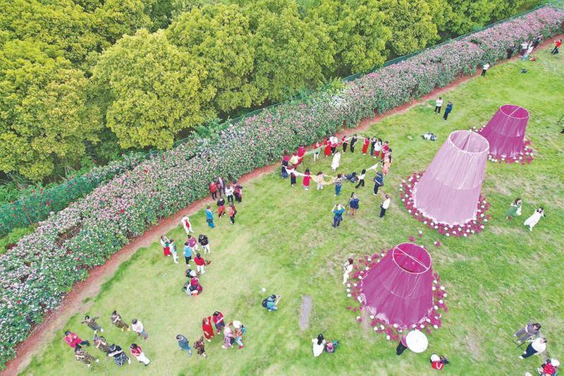 以“繁花”促“繁华”