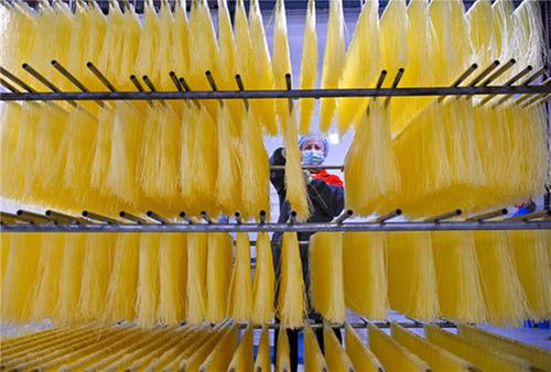 仁寿：一根粉条里的传承与新生