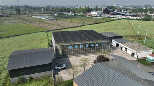 青神：春耕育秧进度超80%