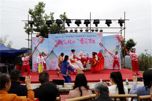 丹棱县万年村：玫瑰花田里的乡村振兴密码