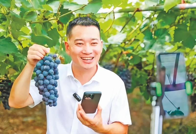 “党建+电商” 架起富民桥