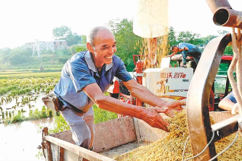 夏耘化秋实 奏响丰收曲
