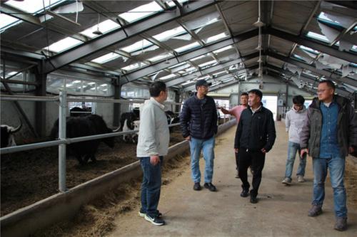 省农技协专家赴红原开展“科技助力乡村振兴”活动