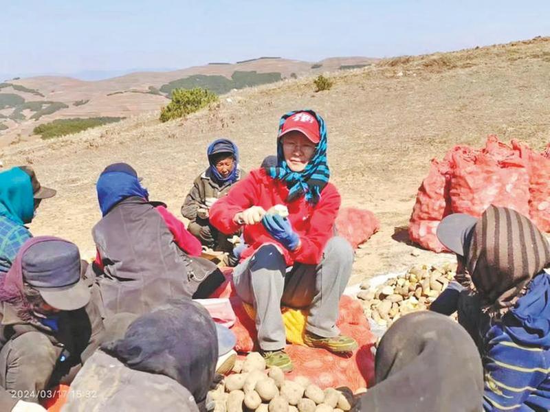 如何把“土疙瘩”变成“金豆豆”？