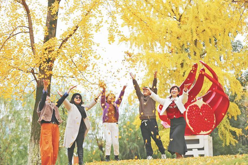 银杏美景醉游人