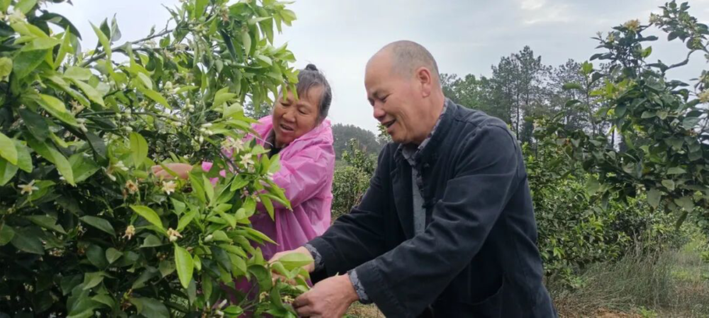 邻水县：数智赋能让村民在家门口轻松挣钱
