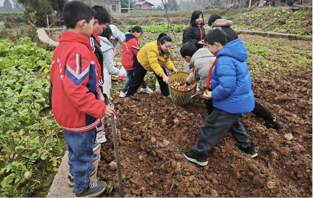 南江县傅家小学开展科普劳动实践活动